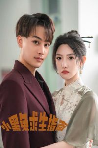 С��������ָ��