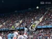 �������� �հ�����VS�ɱ����� 20240331