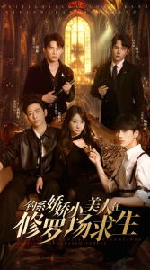 ��ϵ����С���������޳�����