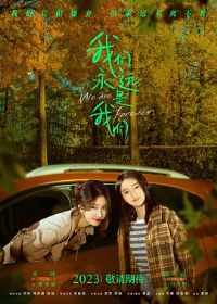 ������Զ������Ԥ��Ƭ