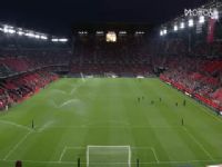 �������� �׶�VS���� 20250816