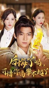 ��������ϧ����ʲ�����