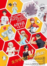 ����ϸ����ϸ������ս