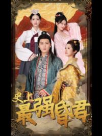 ʷ����ǿ���