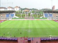 ��Э�������ֱ��� ���ϸ���VS�������� 20250521