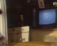 ��ɫ����������