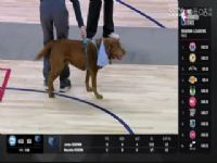 NBA������ ��ӥVS��� 20240407