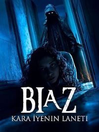 Biaz���ڰ������ߵ�����