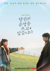 ������д�������